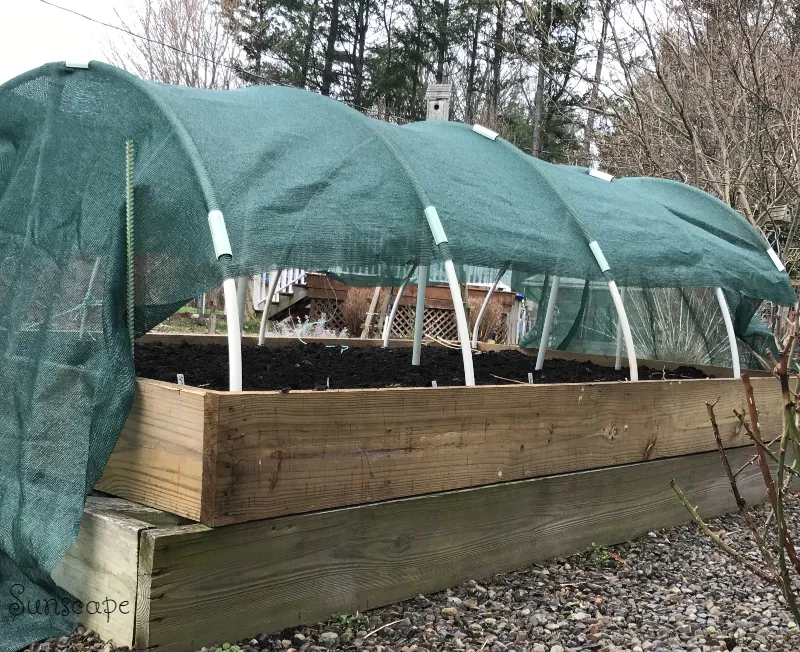 homestead urbangardening sunscape.jpg