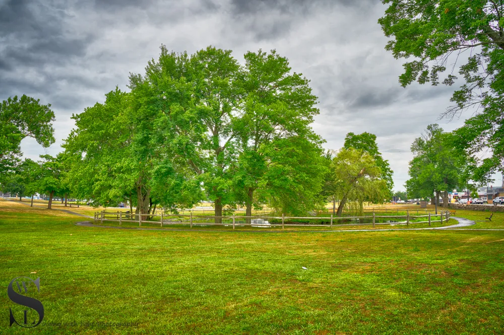 Wednesday walk Brooklyn Park5.jpg