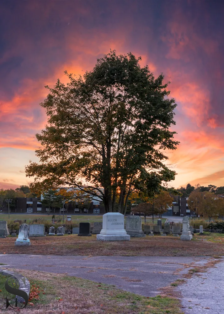 WW Evening walks in Cemetery_.jpg