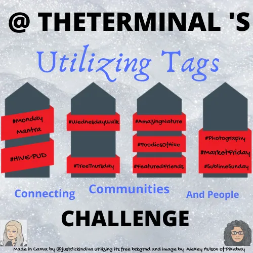 TerminalUtilizingTagsChallenge.png