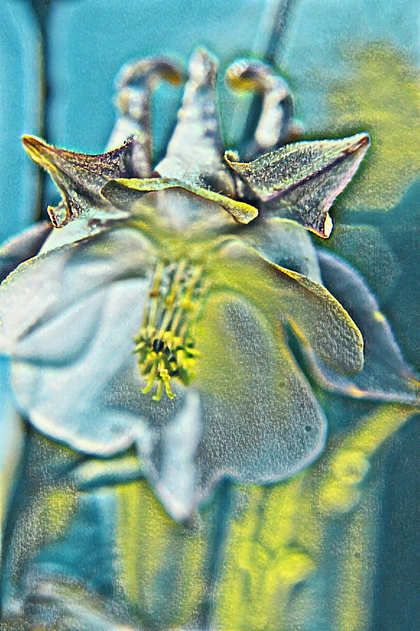 imageedit_fantasy_9292885132.jpg
