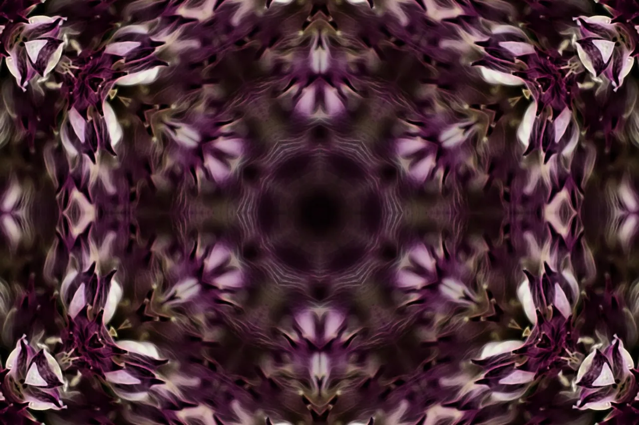 imageedit_16_9703662947_1600.jpg