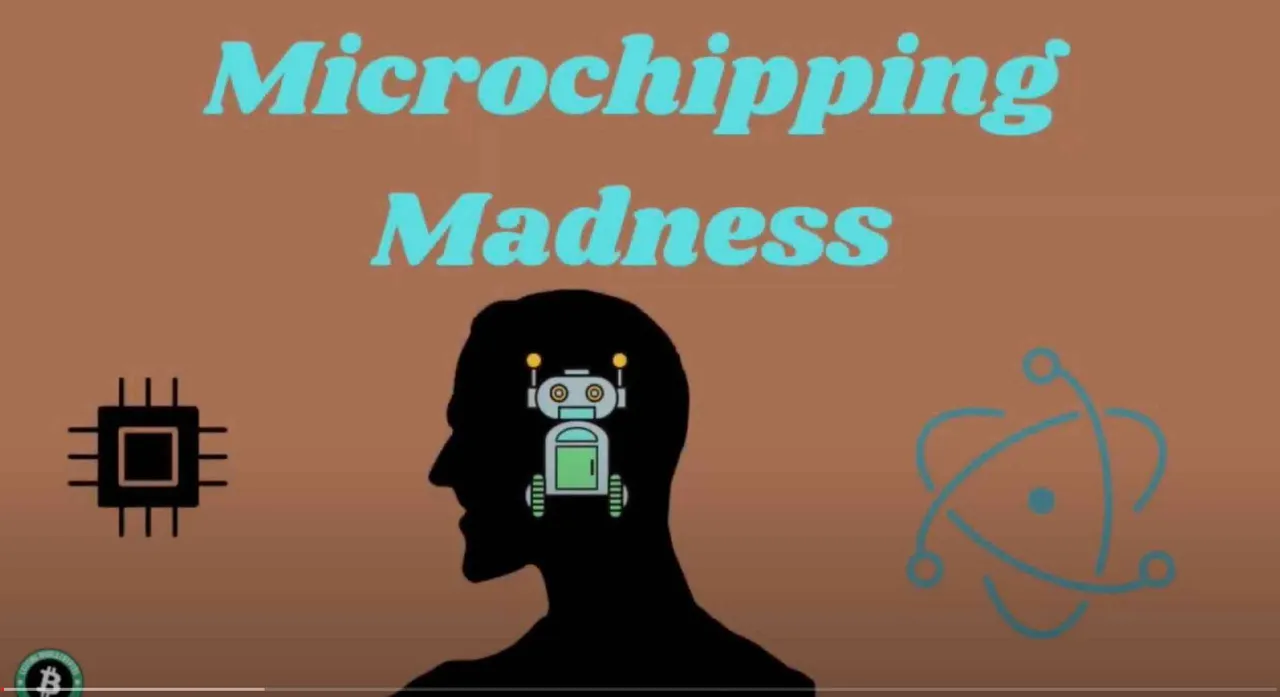 microchip for main photo.jpg