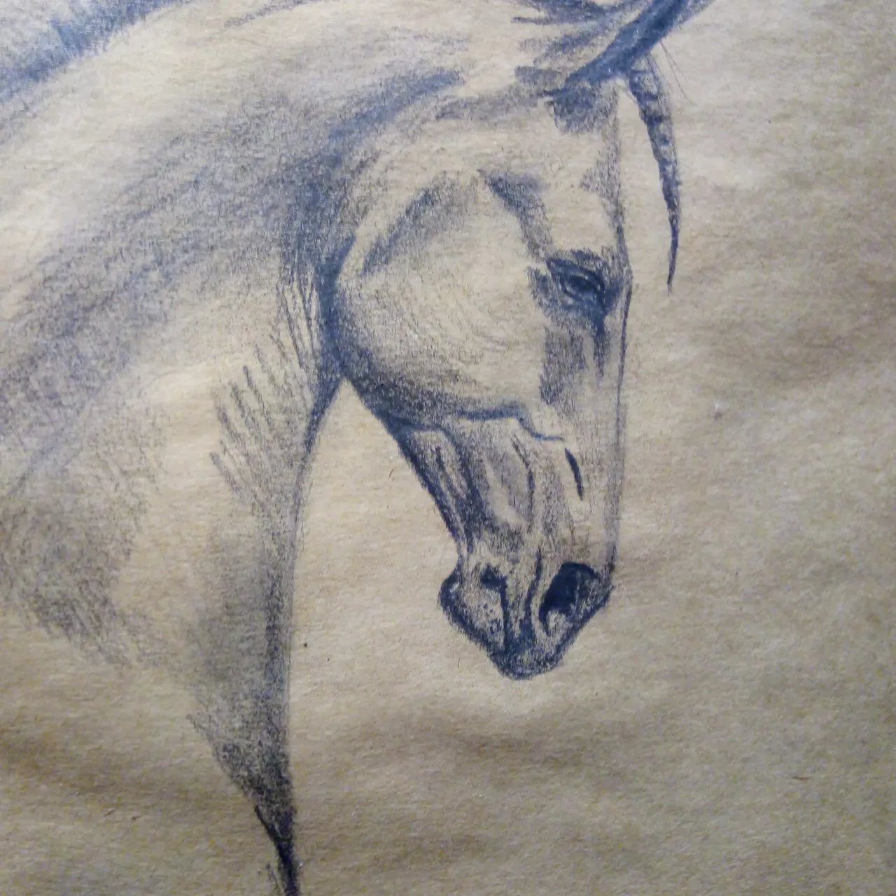 How to draw a running horse - Pencil shading - YouTube