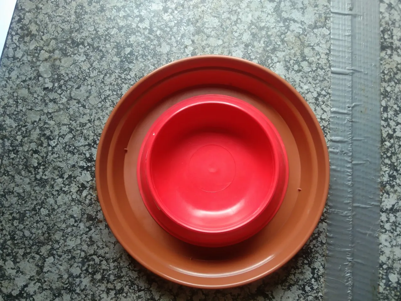 (HIVE DIY) ANT PROOF PET FOOD BOWLS