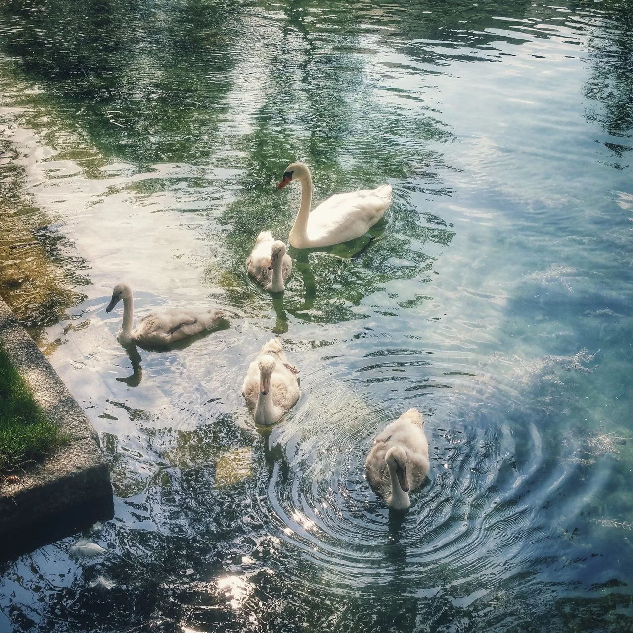 20160727_110225-01.jpeg