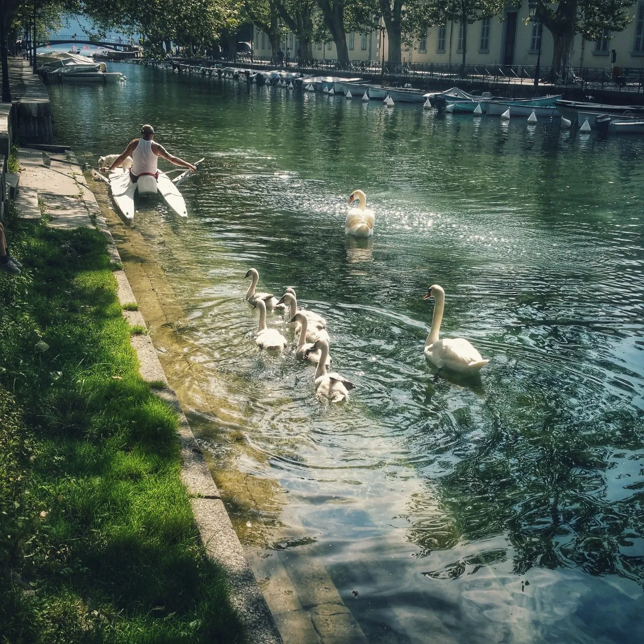 20160727_110013-01.jpeg