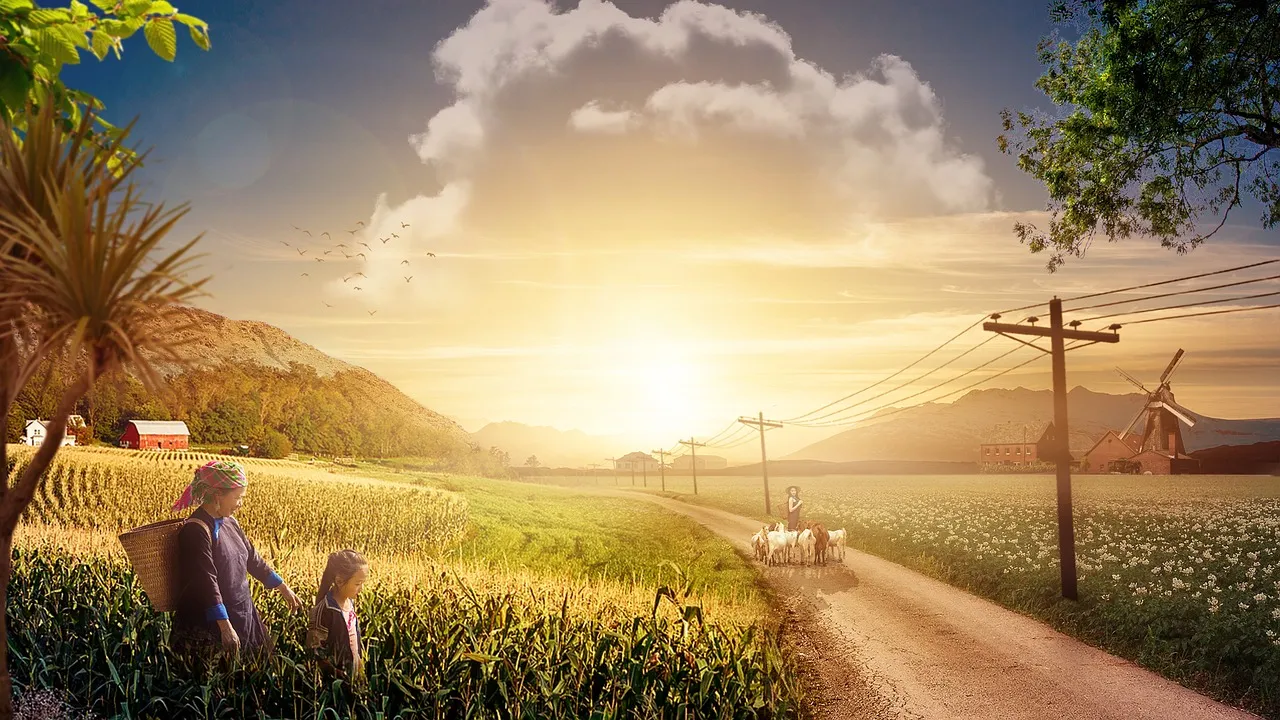 farm-geadedfbfb_1280.jpg