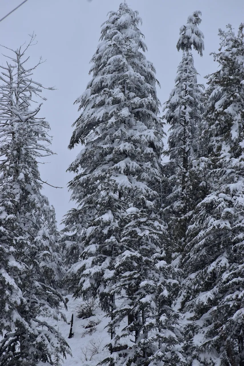 SAVE_20220205_125812.jpg