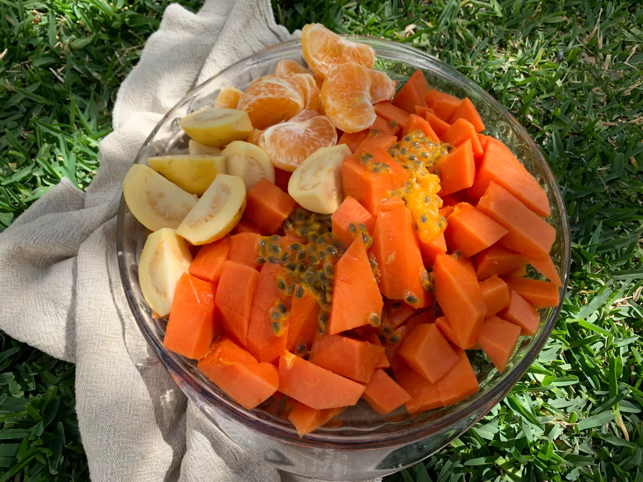 Papaya meal bowl.jpg