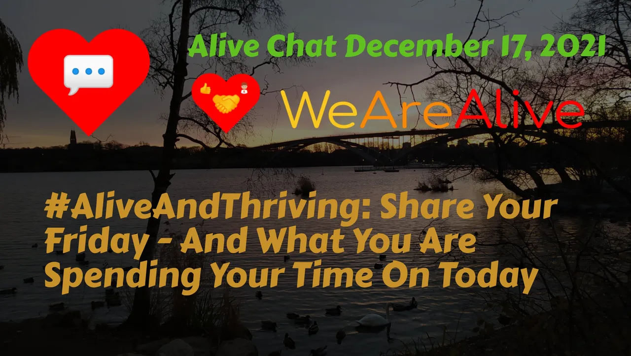 alivechat_1_original.jpg