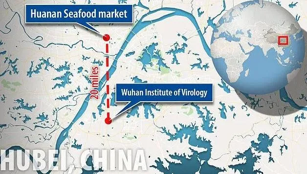 wuhan virology 2.jpg