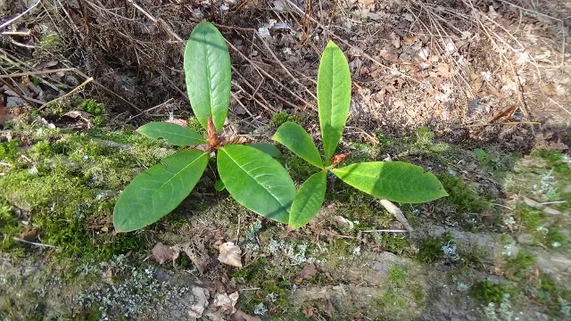 DSC01197 (640x360).jpg