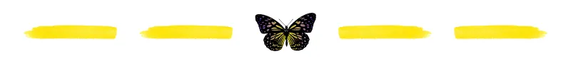 20220630_113145_0000.png