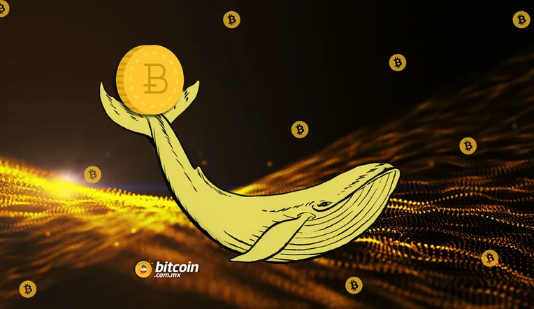 Ballena_BTC_14_enero.png