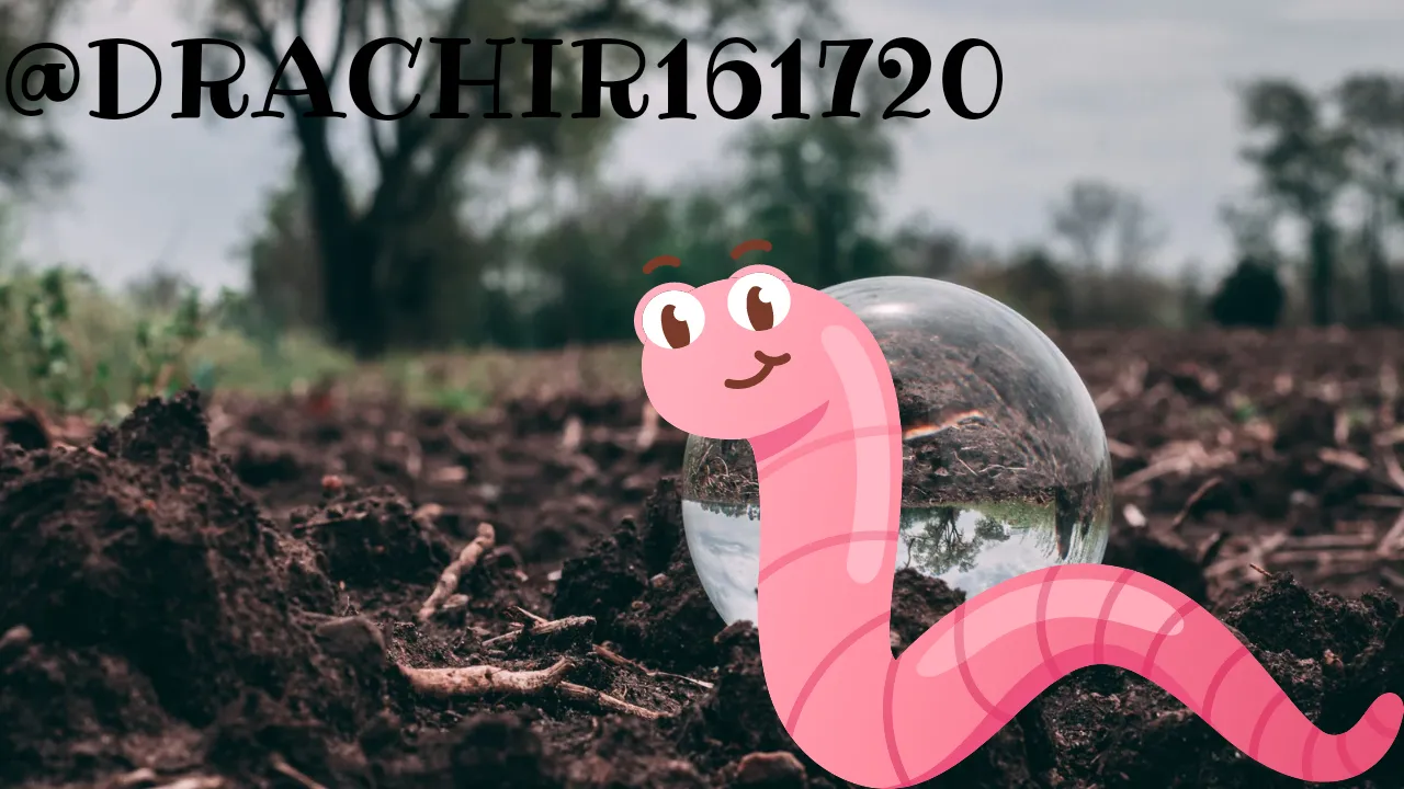 20221030_181112_0000.png