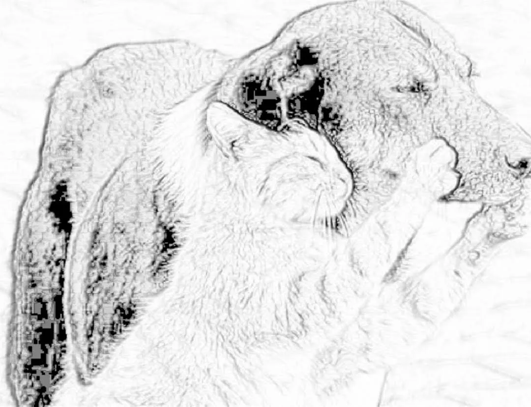 Sketch_1640737424455.jpg