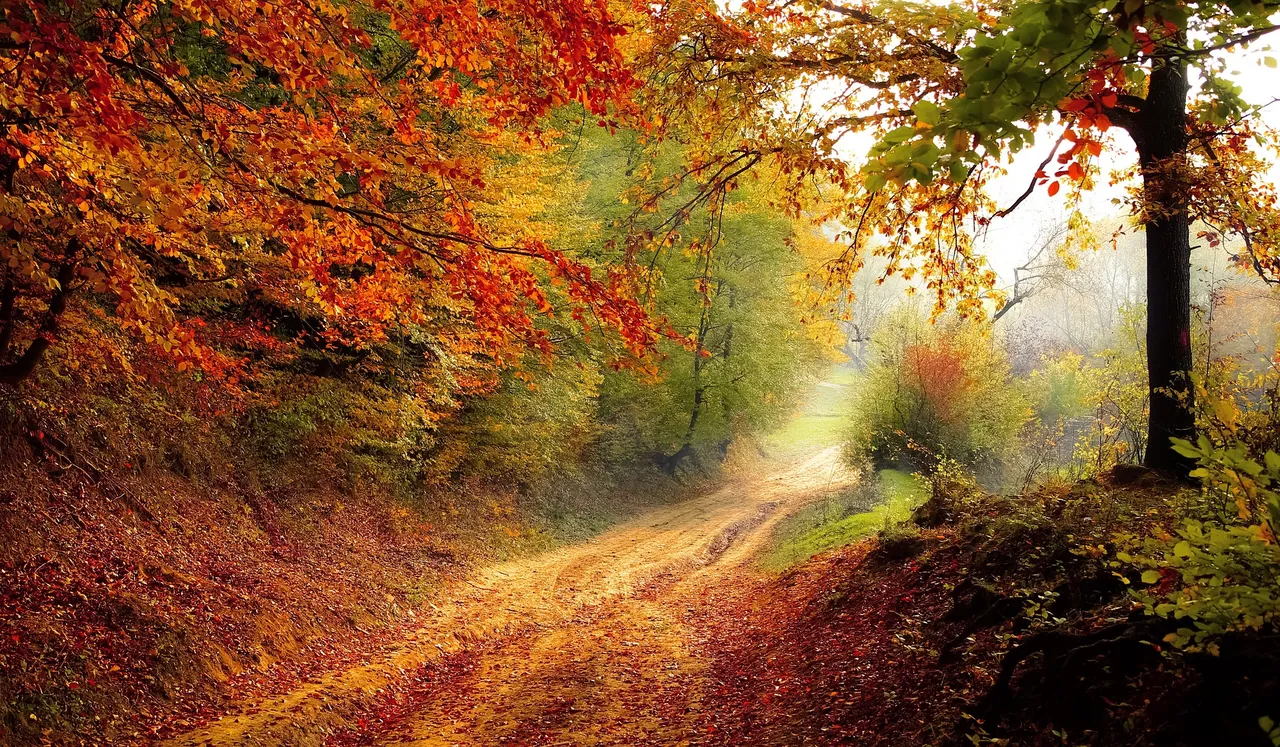 road-g6bcc7c4a9_1920.jpg