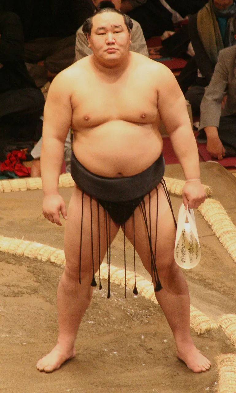 Sumo_May09_Asashoryu.jpg