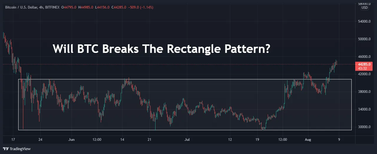 13.rectangle-btc-bar.png