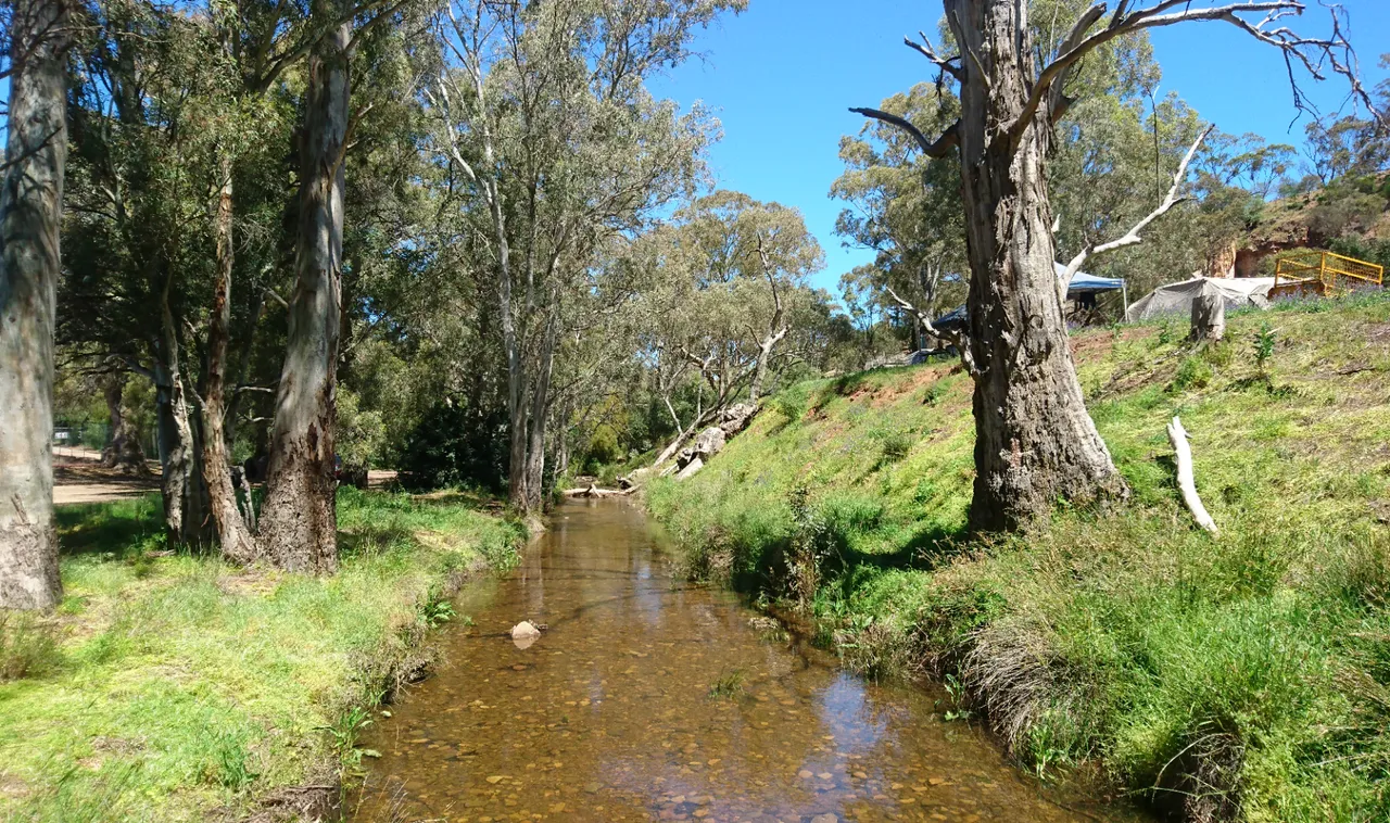 Willochra creek from Melrose heritage swing bridge