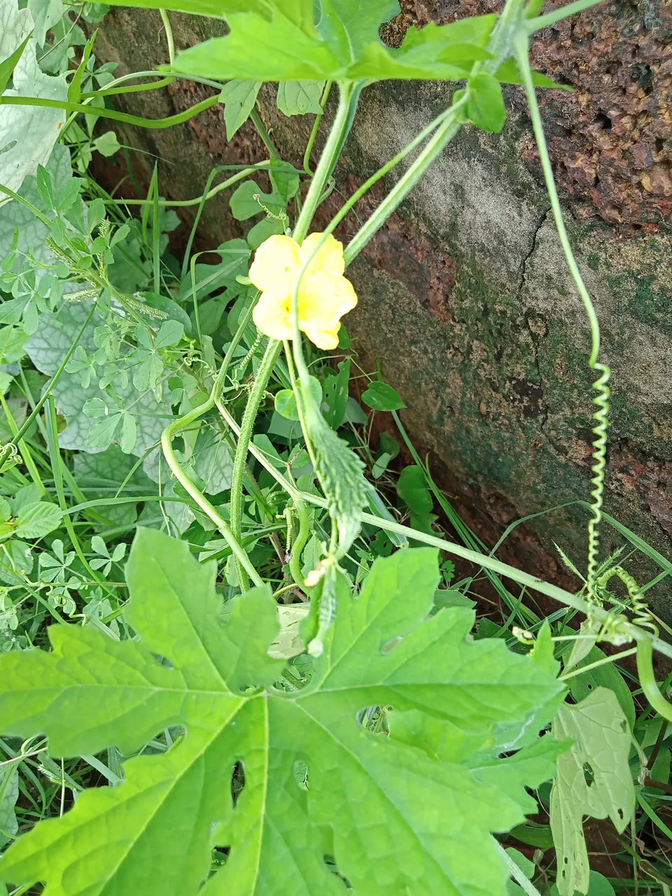 IMG20210629090220_00.jpg