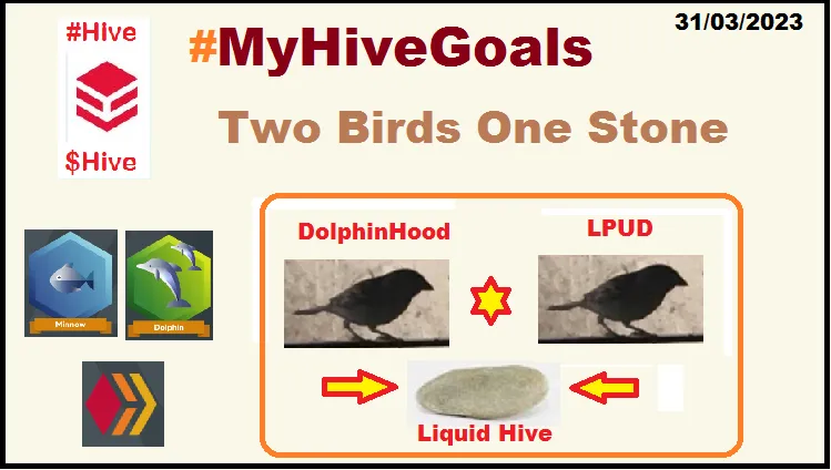 310323myhivegoals.png