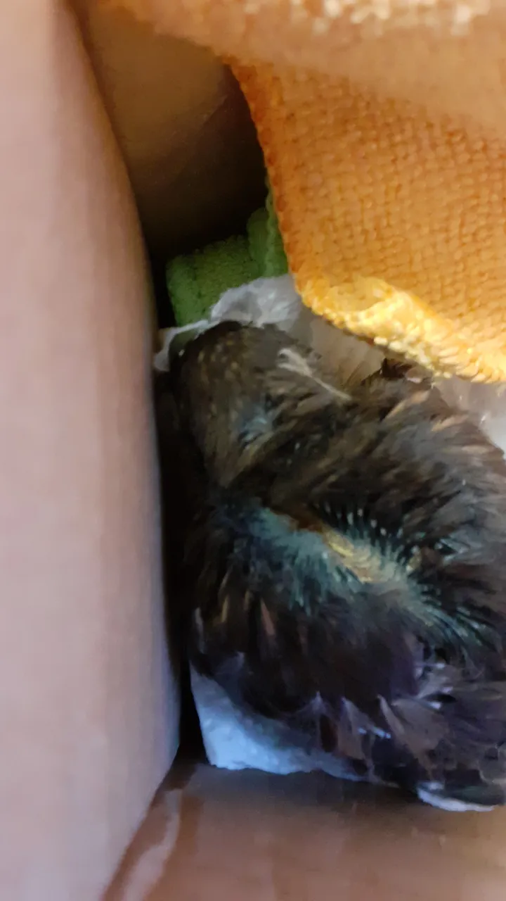 IMG-20210522-WA0003.jpeg