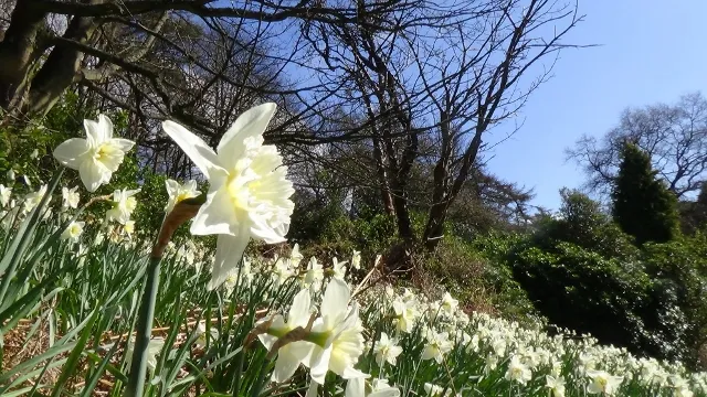 DSC01186 (640x360).jpg