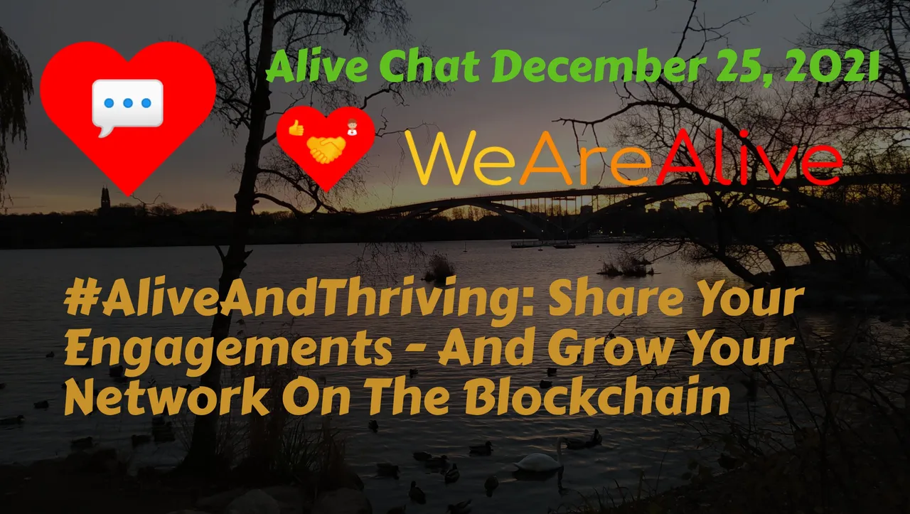 alivechat_1_original.jpg