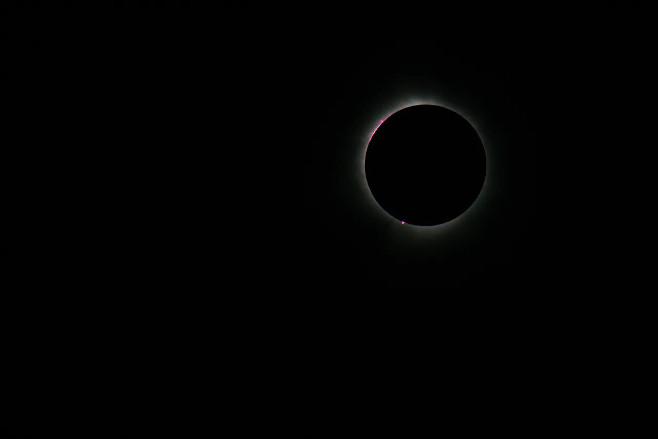 _DSC0428-Enhanced-SR.jpg