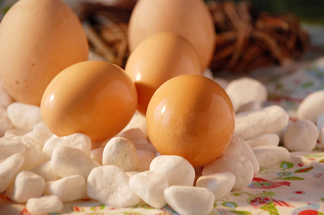 eggs-g394438464_1920.jpg