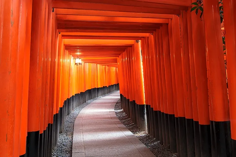 GAK92_fusimiinari500.jpg