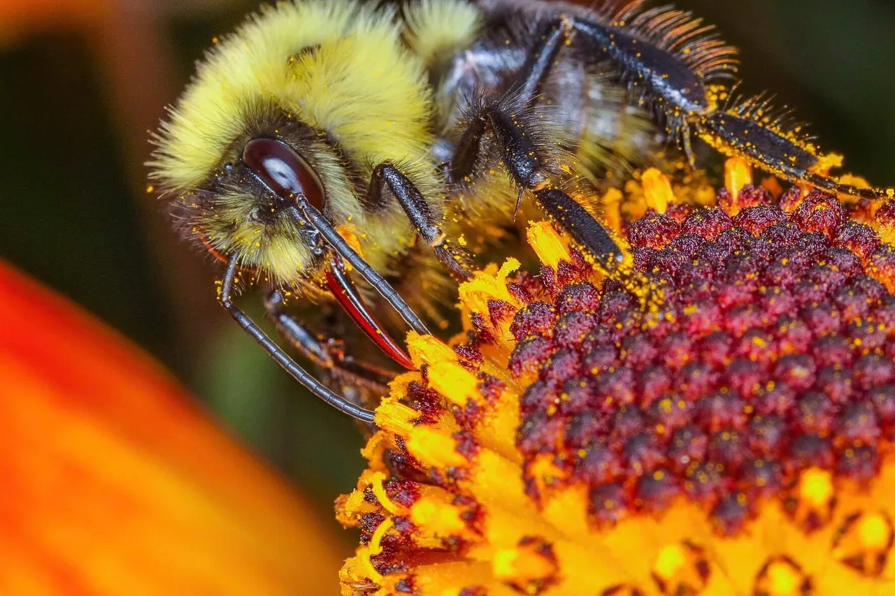 insect post (10).jpg