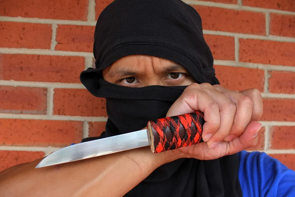 ninja-877220_960_720.jpg