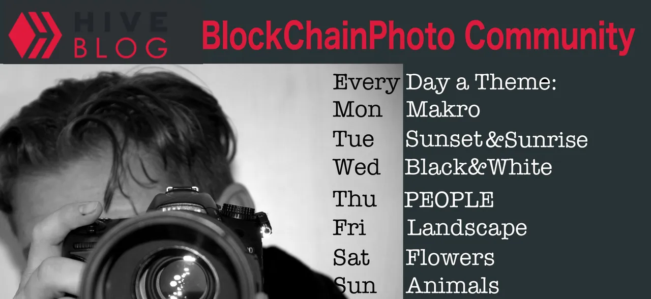 blockchainphotohive.jpeg