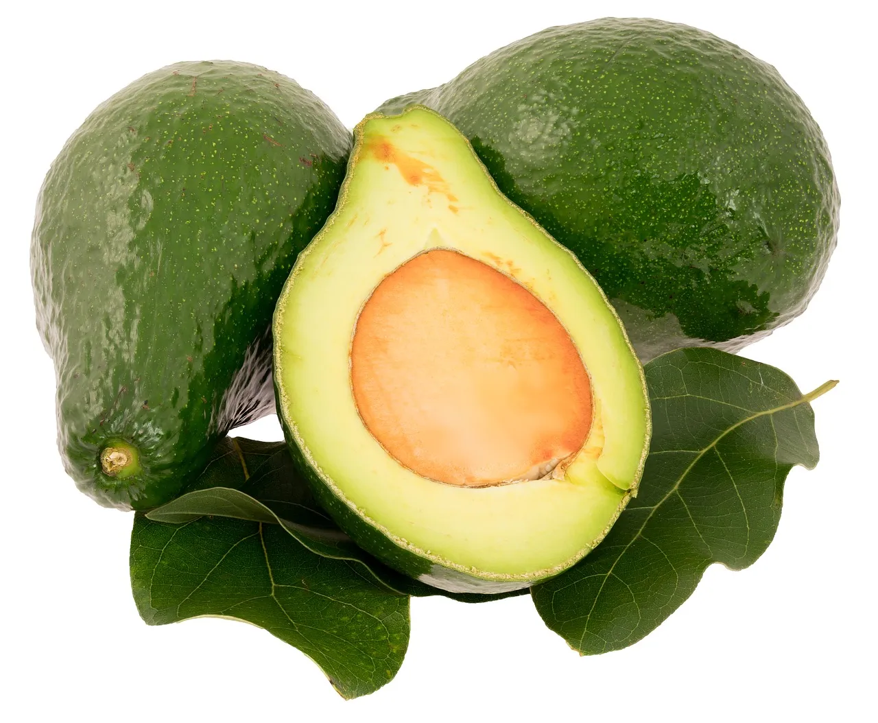 avocado-3617840_1280.jpg