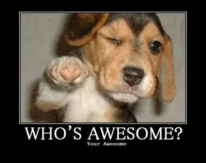 dog-awesome-680x540.webp