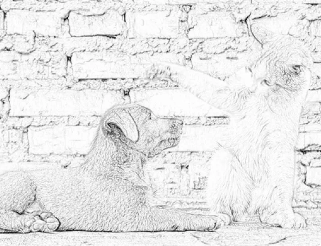 Sketch_1640740455472.jpg