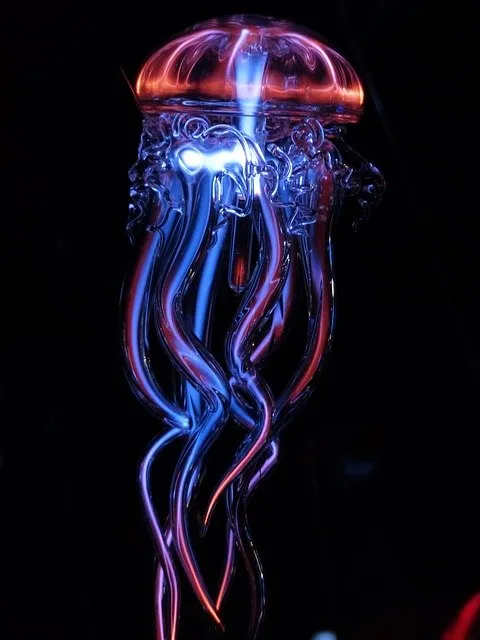 jellyfish-113384_640.jpg