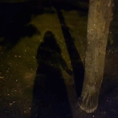 Yidneth shadow 2.gif