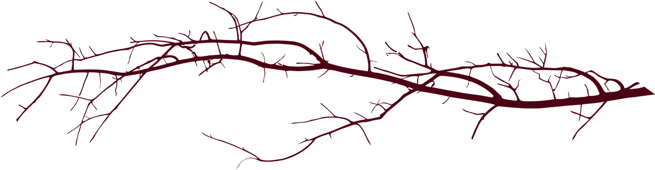 Divider - branch.png