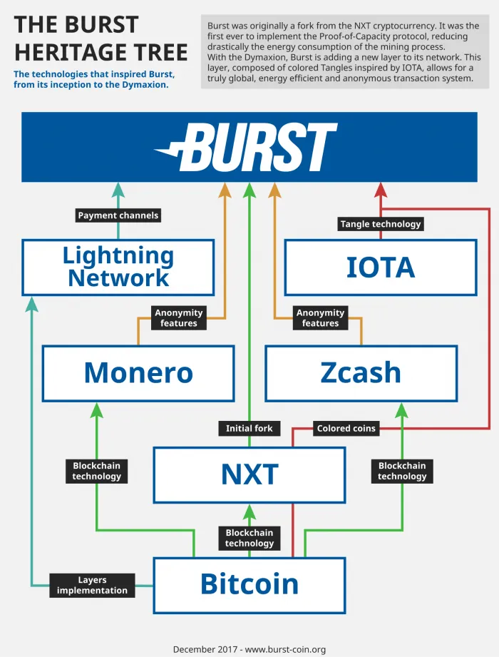 HeritageTree700x921.png