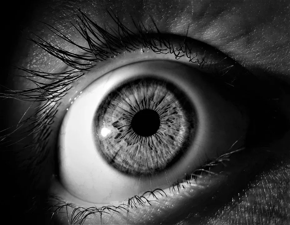 eye-3221498_960_720.webp