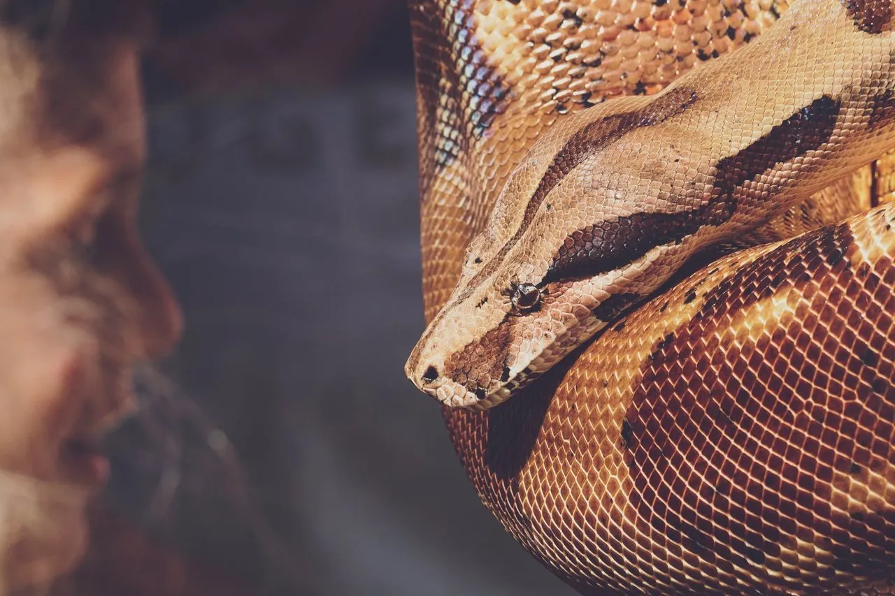 pexels-photo-1441454.jpeg