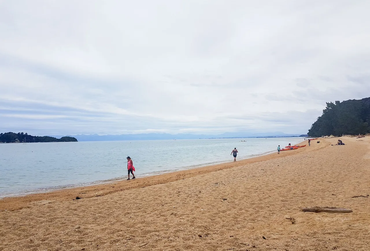 Apple Tree Bay Beach and Campsite