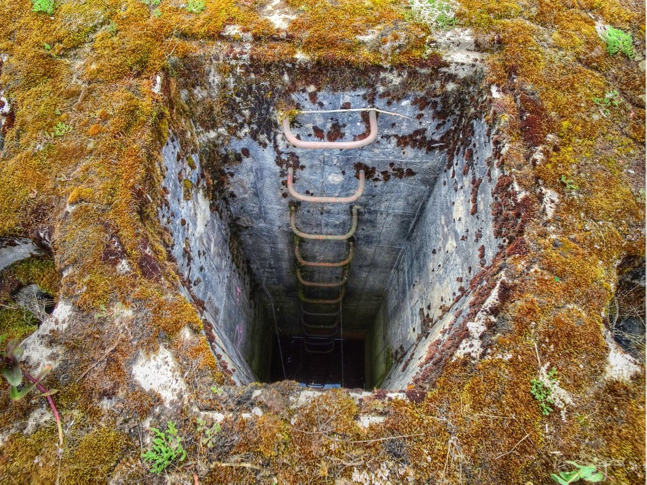 We preferred not to go down.