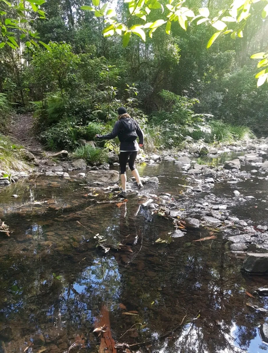 More creek crossings...