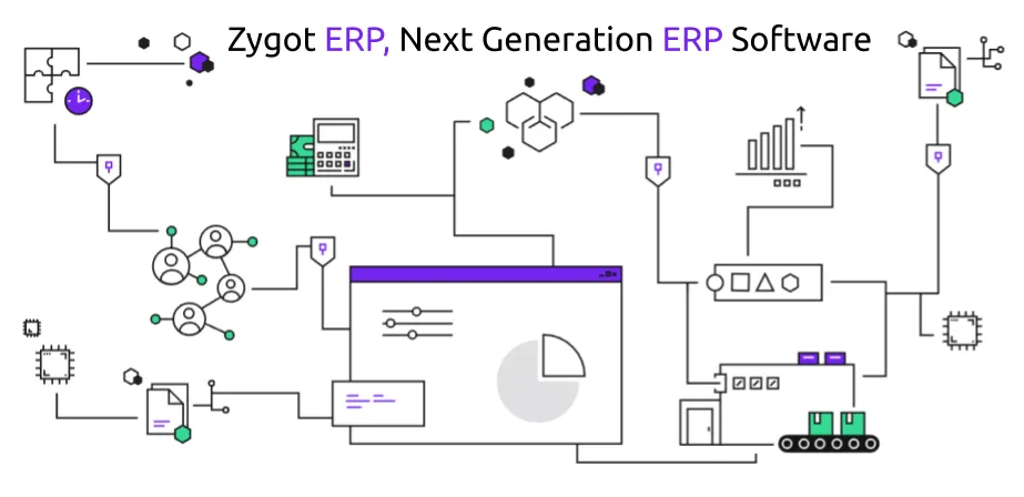 Zygot process graphic