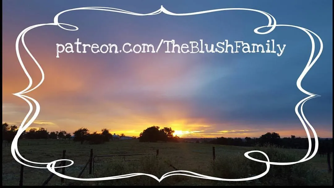 Image of patreon